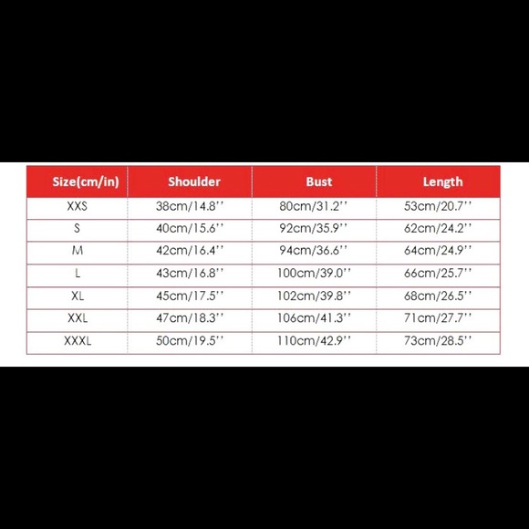 New Paris Women tshirt Casual Cotton - Picture 3 of 5